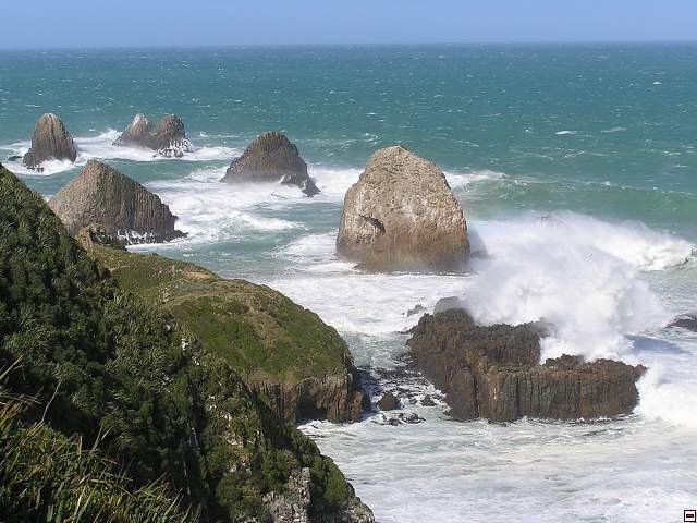 The Catlins Coast 018.jpg